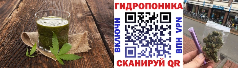 Купить  Болхов  Cannafood конопля 